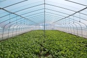 AI微农场：家庭种植竟然像泡方便面一样简单了