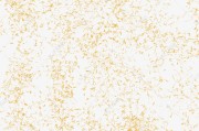 AI金箔碎片整理术：别让你脑子里的那点存货，真成了电子垃圾
