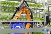 俺真金白银探了三家植物工厂，才敢跟你说这“AI蔬菜工厂”到底是不是智商税