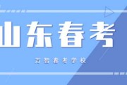 高考信息技术考试全解析：你的疑问一次说清