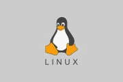 Linus Torvalds：代码革命如何重塑世界？认识“Linux 之父”