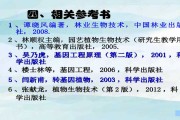 老把式和新套路：聊聊林业技术里那些你不晓得的门道