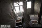 嘿伙计听俺唠唠养苍蝇这事儿咋整