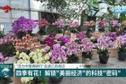 瓶中农场的魔法：组培接种技术如何让植物“克隆”成真